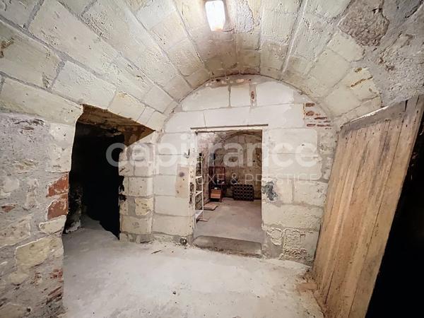 Maison d'exception Tours centre avec garage et jardin