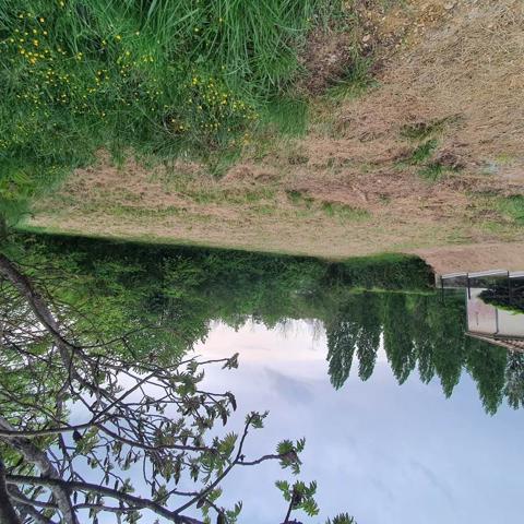 Terrain à vendre |  Montguyon |  720 m²