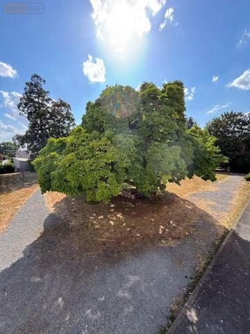 Location - Appartement Fougères 35300 4 pièces 71 m 2