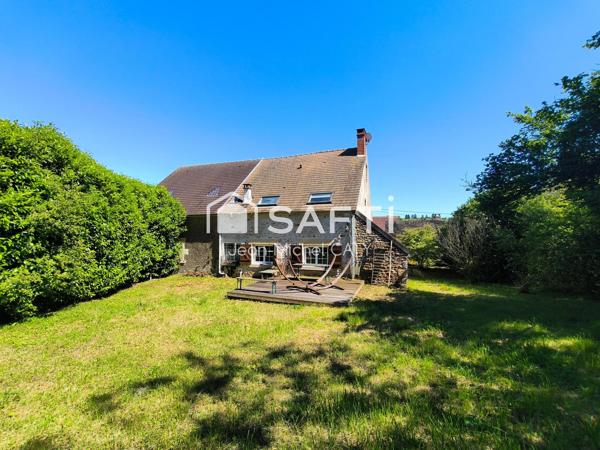 Chateauneuf Val de Bargis, maison en pierre avec 3 chambres et un beau terrain.