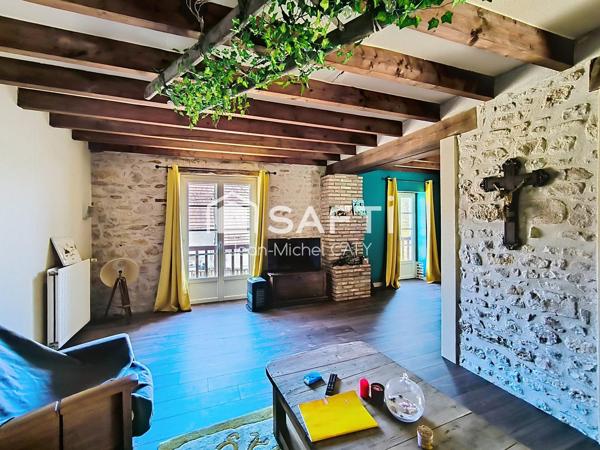 Chateauneuf Val de Bargis, maison en pierre avec 3 chambres et un beau terrain.
