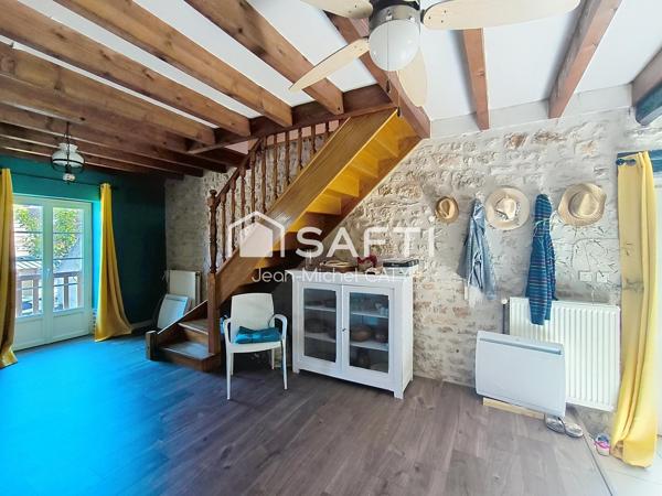 Chateauneuf Val de Bargis, maison en pierre avec 3 chambres et un beau terrain.