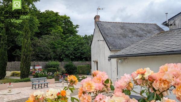 Maison en viager occupé .Theneuil .L'ile Bouchard. F 84 ans