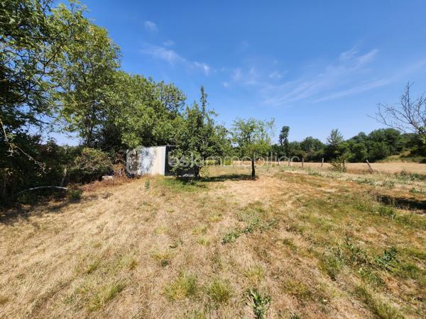 À seulement quelques minutes du centre de **Ménigoute**, découvrez ce terrain de **1 275 m²**, bénéficiant d'un accès direct depuis la route (portail) et d'un environnement calme, sans vis-à-vis.

Implanté sur les hauteurs, il offre une agréable vue dégagée sur la campagne environnante, entièrement entouré de champs, pour un cadre paisible et naturel.

Le terrain présente de nombreux atouts :

* Superficie : **1 275 m²**
* Dimensions : environ **62 mètres de longueur sur 21 mètres de largeur**
* Accès direct depuis la voie publique
* **Compteur d'eau déjà installé et en service**
* Deux accès aménagés, dont un permettant le stationnement ou le stockage d'un **mobil-home, d'une caravane ou de matériel**
* Terrain libre de toute occupation, **disponible immédiatement**

Grâce à sa configuration et à son accessibilité, ce terrain peut convenir à différents projets selon la réglementation en vigueur : espace de loisirs, stockage, activité professionnelle nécessitant une grande surface extérieure ou autres projets compatibles avec les règles d'urbanisme.

Les + :

* Vue dominante
* Aucun vis-à-vis
* Environnement champêtre
* Accès facile
* Disponibilité immédiate

Pour plus de renseignements ou organiser une visite, contactez-moi sans attendre.