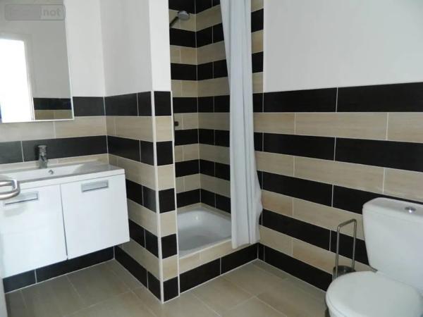 Location - Appartement Ronchin 59790 1 pièce 21 m 2