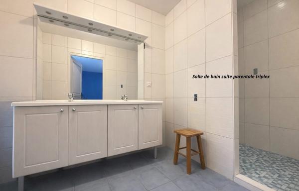 IMMEUBLE DE RAPPORT / CONLIEGE - 7 pièces - 2 logements - 196.56 m²