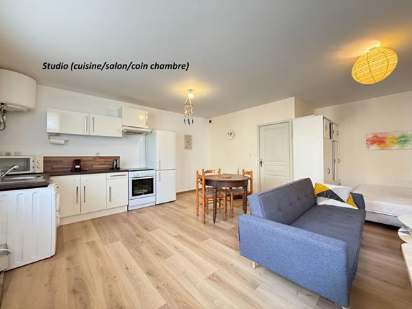 IMMEUBLE DE RAPPORT / CONLIEGE - 7 pièces - 2 logements - 196.56 m²