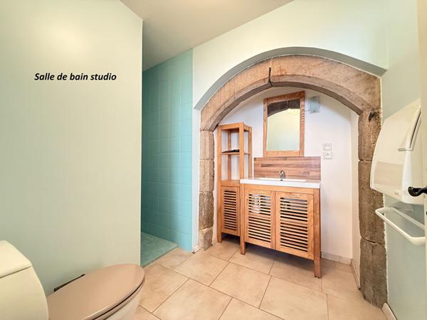 IMMEUBLE DE RAPPORT / CONLIEGE - 7 pièces - 2 logements - 196.56 m²