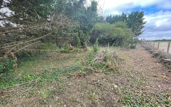 Terrain à vendre    Muron