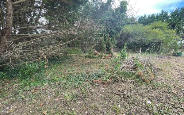 Terrain à vendre    Muron