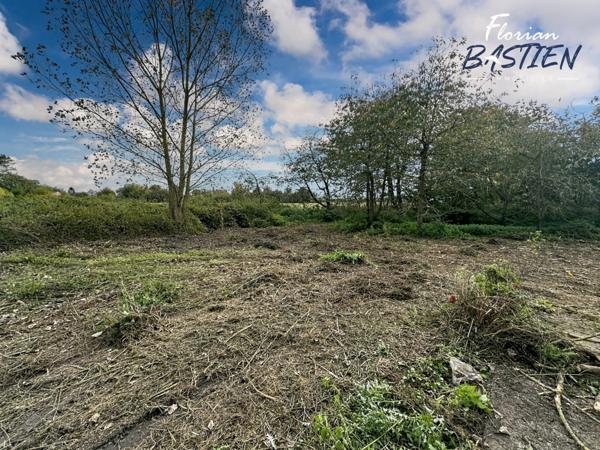 Propriété avec maison plain pied et bâtiment de 750m² sur un terrain de plus de 3 hectares