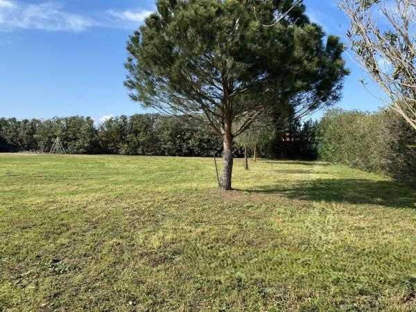 Terrain constructible viabilisé ELNE