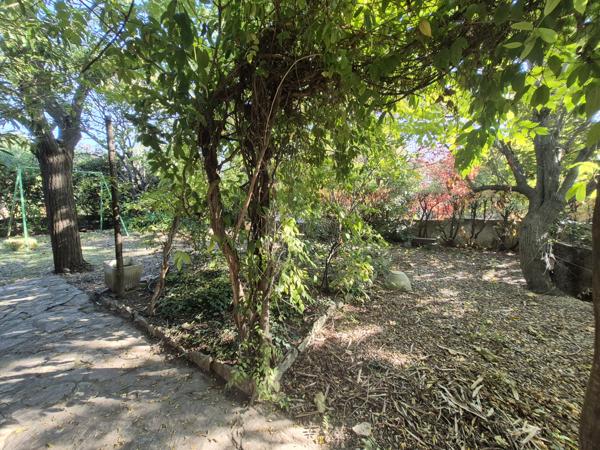 Saint-Rémy-de-Provence (13210) *** SOUS COMPROMIS*** - SAINT-REMY-DE-PCE (13210) - MAISON 5 CHAMBRES AVEC JARDIN ET GARAGE