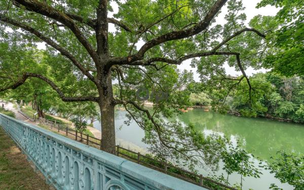 Maison à vendre    7 pièces • 193 m2 Saint-Maur-des-Fossés