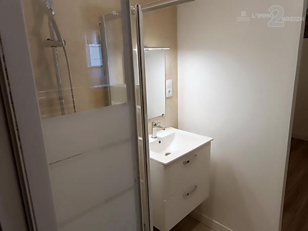 Immeuble de rapport, 3 T2 meublés loués, rénovation intégrale