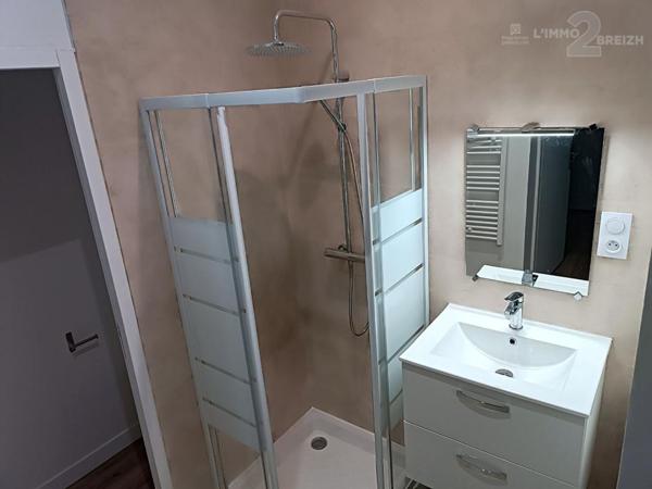 Immeuble de rapport, 3 T2 meublés loués, rénovation intégrale