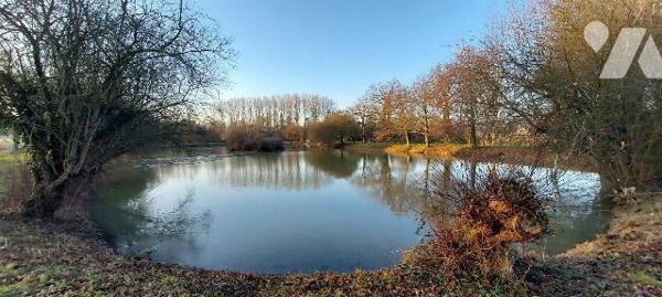 Pour les amoureux de la nature et d'une partie de pêche !!!
A la suite d'un chemin rural, vous...