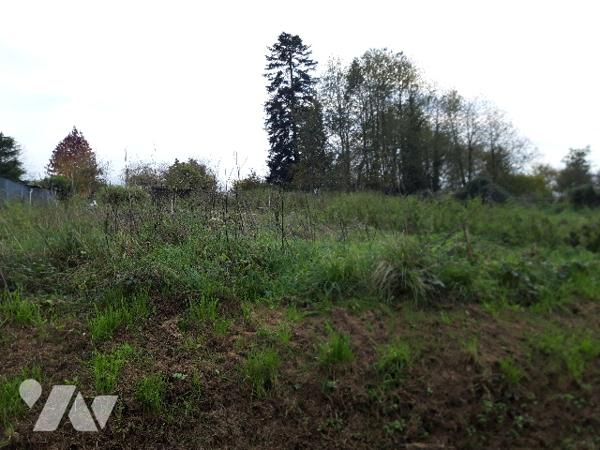 ARGOUGES (50240), à 7kms de SAINT JAMES, terrain à bâtir 1058 m² à terrasser et viabiliser