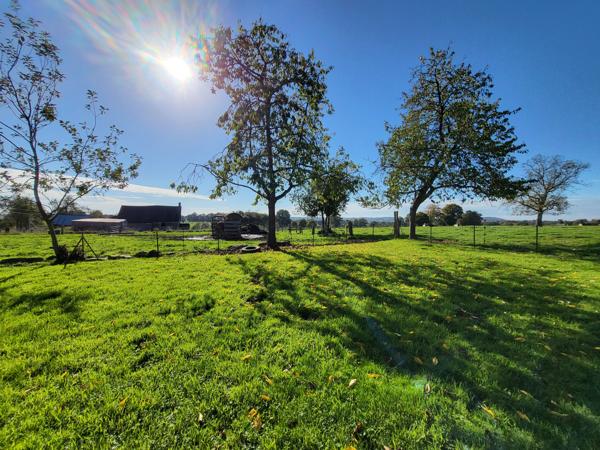Maison à vendre à Barenton (50720) - Manche
