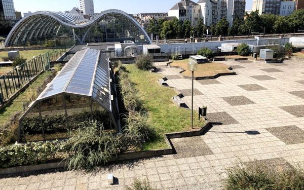 Appartement à louer    2 pièces •  Orléans