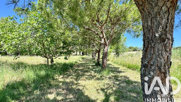 Maison à vendre 6 pièces 156 m² Peyriac-de-Mer