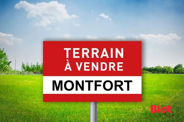 Terrain 776m²