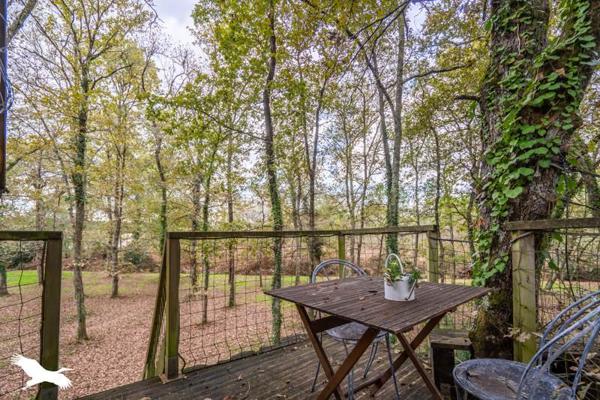 Maison à vendre |  Cestas |  6 pièces | 274 m²