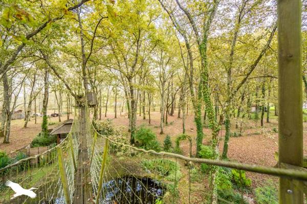 Maison à vendre |  Cestas |  6 pièces | 274 m²