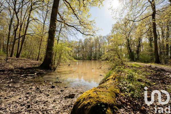 Maison à vendre 3 pièces 84 m² Gennes-Val-de-Loire