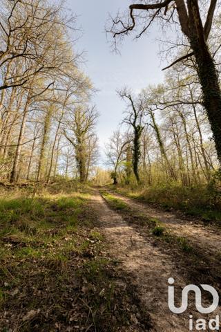 Maison à vendre 3 pièces 84 m² Gennes-Val-de-Loire