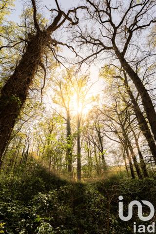 Maison à vendre 3 pièces 84 m² Gennes-Val-de-Loire