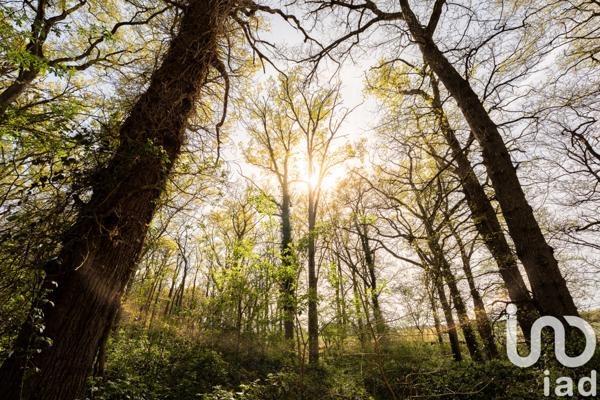 Maison à vendre 3 pièces 84 m² Gennes-Val-de-Loire