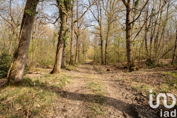 Maison à vendre 3 pièces 84 m² Gennes-Val-de-Loire