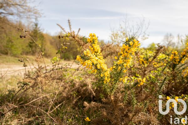 Maison à vendre 3 pièces 84 m² Gennes-Val-de-Loire