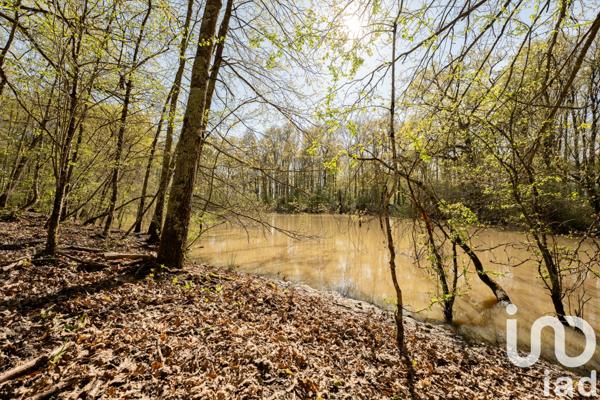 Maison à vendre 3 pièces 84 m² Gennes-Val-de-Loire