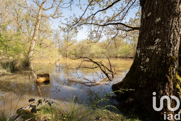 Maison à vendre 3 pièces 84 m² Gennes-Val-de-Loire