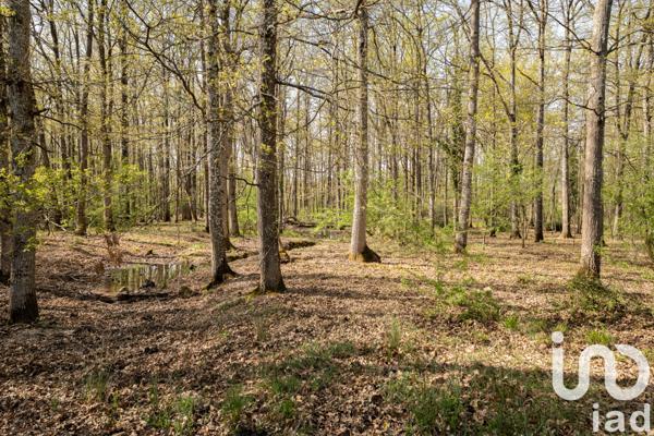 Maison à vendre 3 pièces 84 m² Gennes-Val-de-Loire