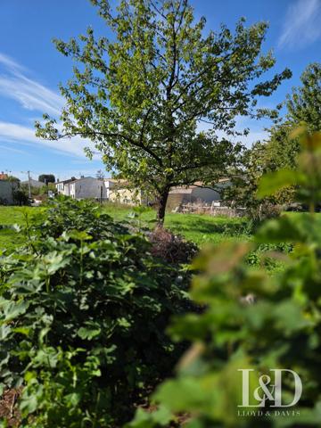 🌿 Terrain à bâtir de 510m2 au cœur de Semussac