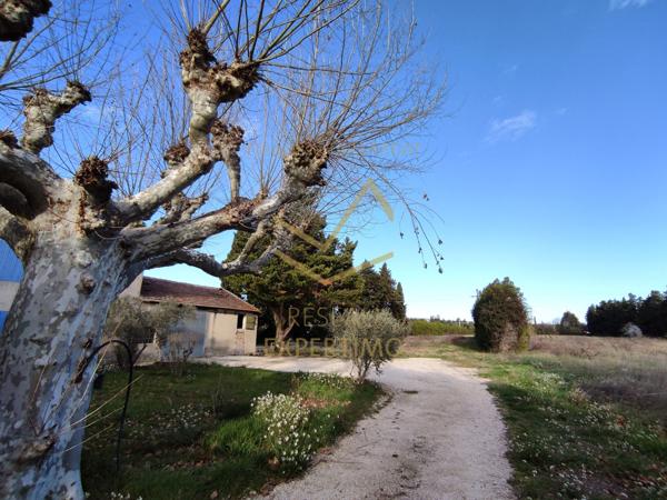 MAS EN CAMPAGNE INDIVIDUEL A RENOVER AVEC HANGAR SUR 8 440M2
