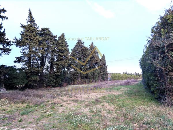 MAS EN CAMPAGNE INDIVIDUEL A RENOVER AVEC HANGAR SUR 8 440M2
