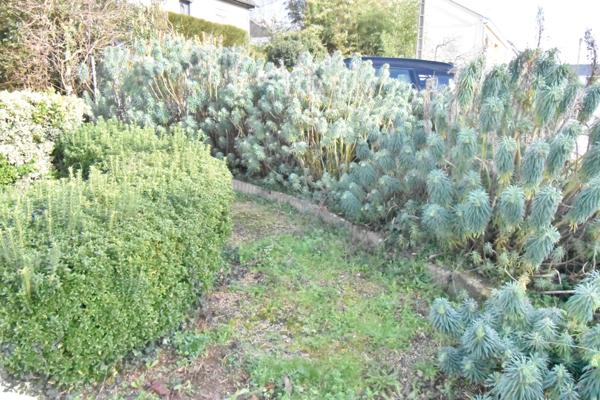 Maison à vendre 4 pièces SEGRE (49) Deux chambres, possible Trois - Sous-sol - Terrain 576 m²