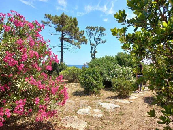 Propriété d’architecte avec plage privée