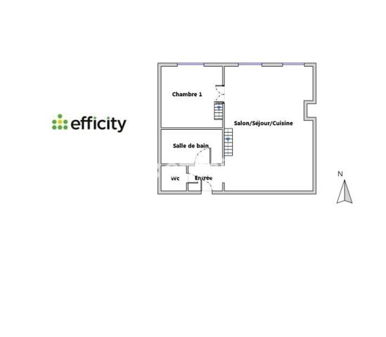 Appartement 3 pièces - 74 m² Exclusivité efficity