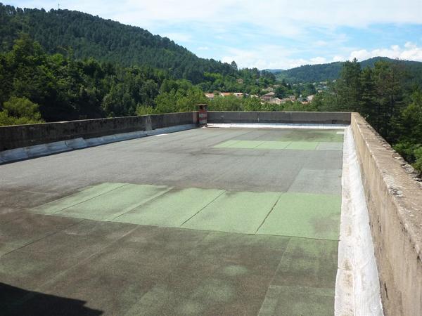 La Grand-Combe (30110) Incroyable demeure en pierre du 19eme de 700 m² habitables en partie rénové sur 1,5 hectares constructibles.