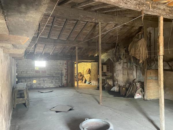 Ancienne cave à vin avec fort potentiel