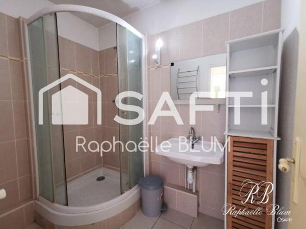 Grand T2 lumineux proche facs et grandes écoles