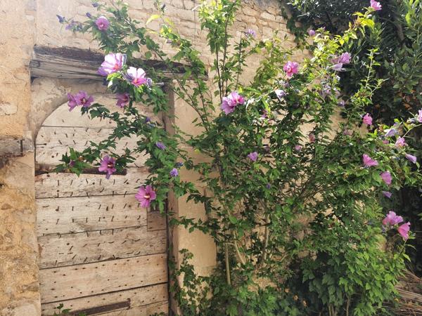 Immeuble de trois appartements de 192 m2 à Mauzé / Mignon