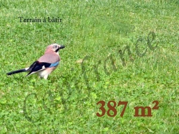 Terrain à vendre BETHENIVILLE (51)
