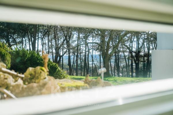 Prestigieuse Demeure Contemporaine de 872 m² sur un Domaine Boisé de Plus d’1 Hectare