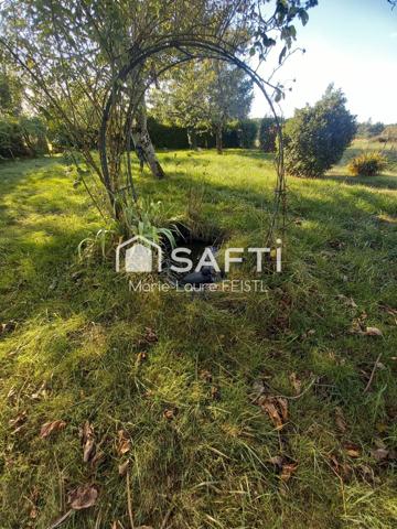 Jolie maison avec ces  3 chambres, un sous-sol, des dépendances,  un terrain de 3 873 m².